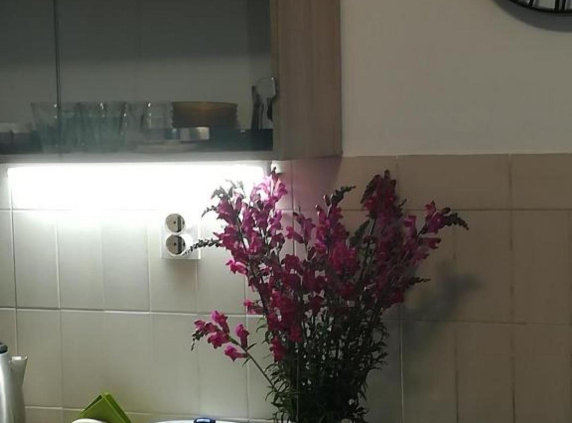 Apartman Olymp Osijek-Garaza Extérieur photo