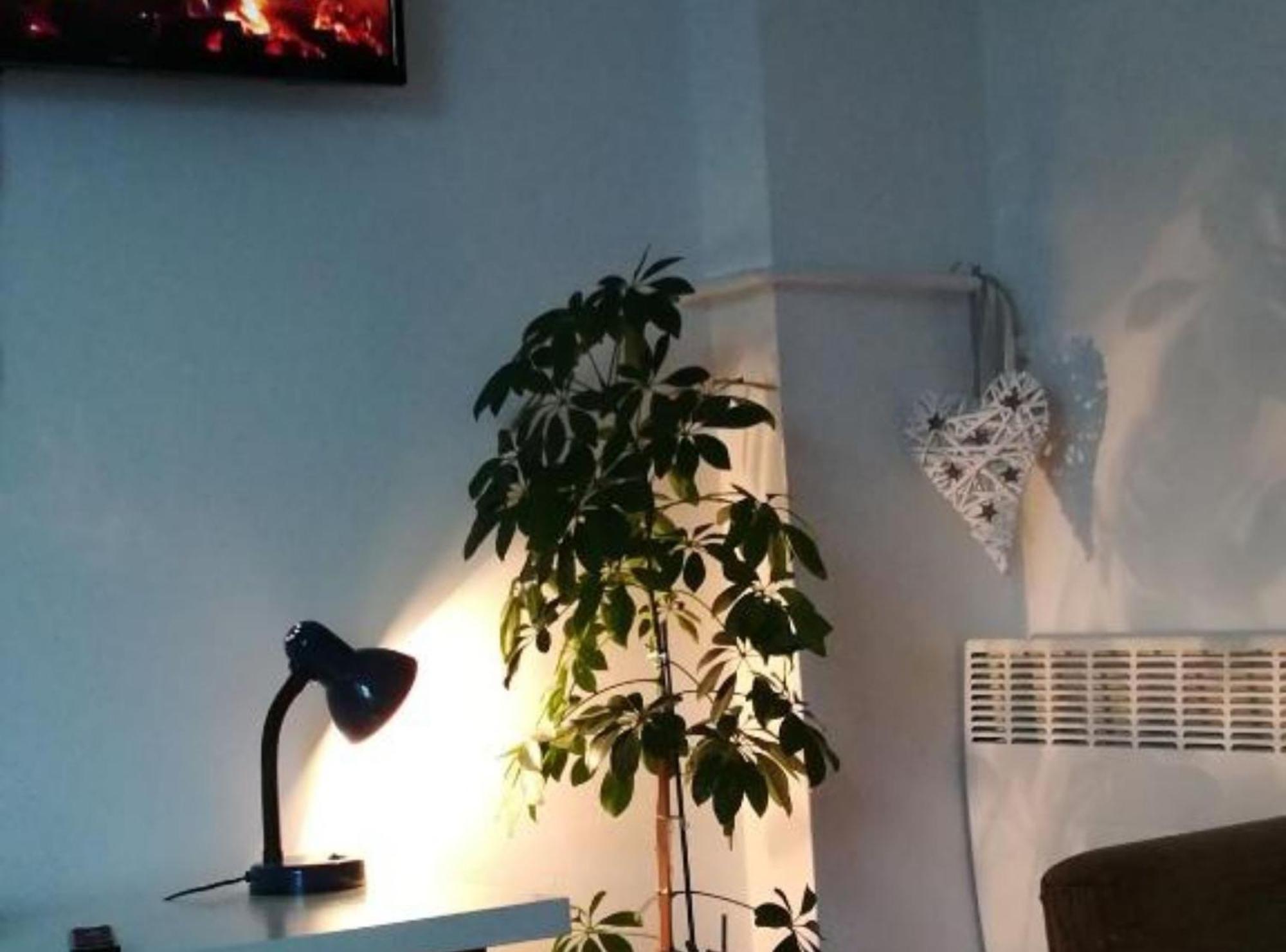 Apartman Olymp Osijek-Garaza Extérieur photo